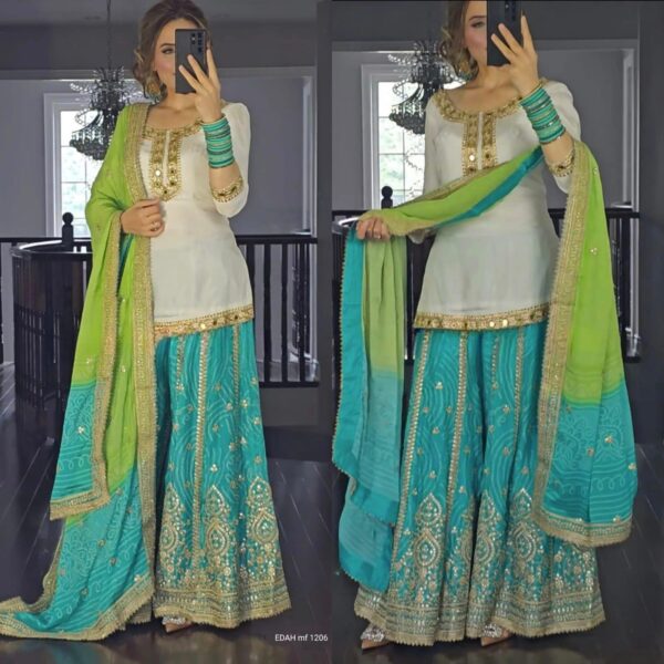 WhatsApp Image 2024 06 14 at 12.53.16 AM 1